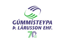 Gummisteypa 70ara 092022