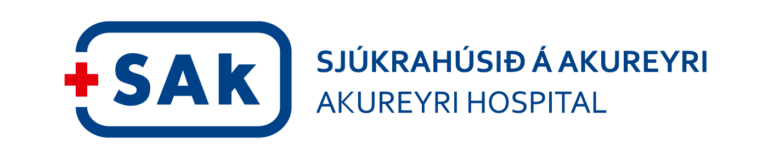 SAk-merki-gegnsaer-grunnur