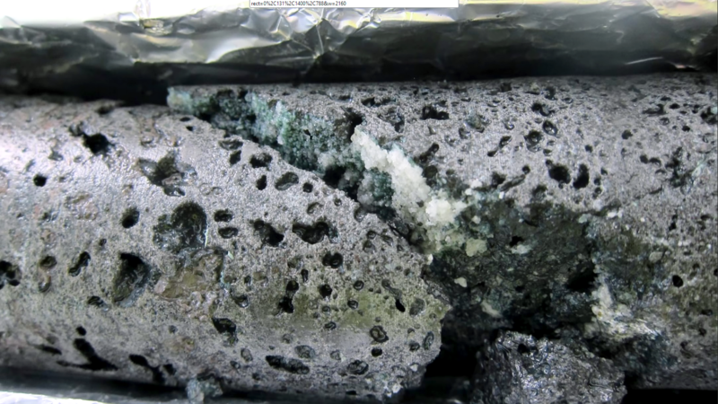 Borkjarni af basalti með steinrunnu koldíoxíði í formi kalsíts.Ljósm. Carbfix / Sandra O. Snæbjörnsdóttir.